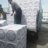 پخش تخم مرغ عمده