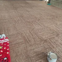 موکت در حد نو