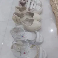 انواع کفش وکتوری زیر قیمت