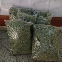 یونجه خرگوش کیلو ۶۵