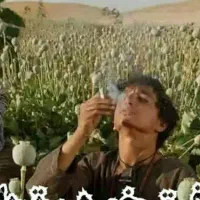 رهاشو*(زندگی جدید و پا*ک)|فعالیت داوطلبانه|اندیشه, اندیشه فاز ۳|دیوار