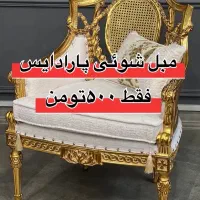 *مبلشویی فقط 500 بدون ایاب ذهاب و هزینه اضافی*|خدمات نظافت|کرج, مصباح|دیوار