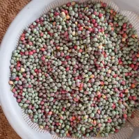 ونه تق