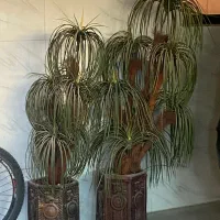 درخت مصنوعی