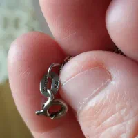 زنجیر نقره ۳گرم و۸۰۰|جواهرات|اردبیل, |دیوار