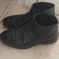 انواع کفش زنانه ومردانه|کیف، کفش، کمربند|زنجان, |دیوار