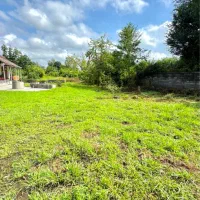 ۲۵۰متر زمین مسکونی با سند تکبرگ بر اسفالت تاپ|فروش زمین و ملک کلنگی|سیاهکل, |دیوار