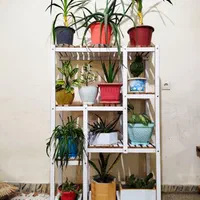 استند گل|گل و گیاه طبیعی|ایلام, |دیوار