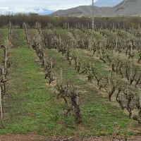 باغ جلفادشت گردیان|فروش خانه و ویلا|جلفا, |دیوار