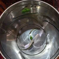 دستگاه سبزی خورد کن|خردکن، آسیاب، غذاساز|اراک, |دیوار