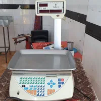 ترازوی دیجیتال فروشگاهی کارین