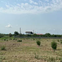 باغچه ۳۰۰ متری بر آسفالت / انشعابات پای ملک|فروش دفتر صنعتی، کشاورزی، تجاری|کیاکلا, |دیوار