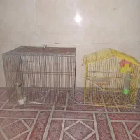 قفس|لوازم جانبی حیوانات|شهریار, شهرک امیریه|دیوار