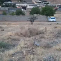 زمین باغچه باغ ویلا خانه ملک|فروش زمین و ملک کلنگی|آبسرد, |دیوار