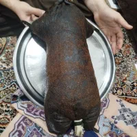 هیزه ۴ کیلویی|خوردنی و آشامیدنی|جوانرود, |دیوار