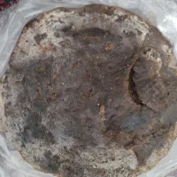 قره محلی گوسفند