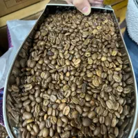 پخش44 قهوه عمده و جزئی و تجهیزات و انواع برند|عمده‌فروشی|مشهد, آزادشهر|دیوار