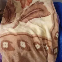 متکا پتو و تشک و بالشت