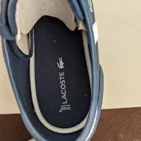 کفش نو لاکوست اصل خریداری شده از آلمان|کیف، کفش، کمربند|تهران, فردوس|دیوار