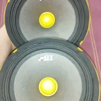 میدرنج سایز ۸