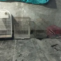 قفس پرنده کاسکویی