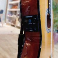 گیتار EDMUNDO|گیتار، بیس، امپلیفایر|قزوین, |دیوار