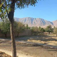 خ اصلی شهر ویست|حراج|خوانسار, |دیوار