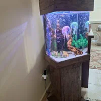 اکواریوم کمدی ایستاده ۱/۵متری با کلیه لوازم|ماهی|تهران, دولاب|دیوار