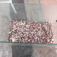 آکواریوم با تمام وسایل