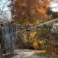 اجاره خونه باغ