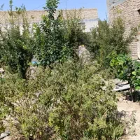 زمین