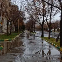 دریافت طلای به صورت رایگان