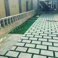 چمن نو ودسته دوم