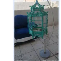 قفس سلطنتی  وزیبا۱۲۰۰|لوازم جانبی حیوانات|یاسوج, |دیوار