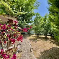 ویلا باغ 670متر/ مشجر و دلباز/ عرصه عیان/نعمت آباد|فروش خانه و ویلا|چمستان, |دیوار