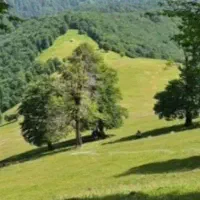 کلیه خدمات حساب دارای ومالی