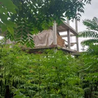 فروش ویلا جنگلی نیمه ساز