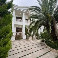 نمارومی استخردار/پلاگ صفر جنگل/ شهرکی بت نگهبانی