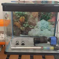 آکواریوم ماهیران شیشه خم با کل وسائل|ماهی|تهران, هروی|دیوار