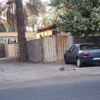 جهت اجاره خرید خرما