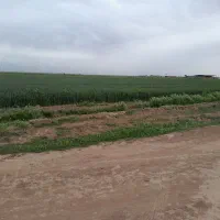 حراج برای همه مصارف