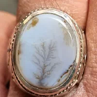 عقیق شجر تک درخت قائن