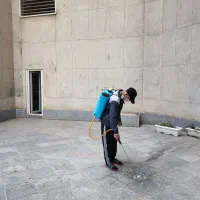 سمپاشی تخصصی حشرات و جوندگان|خدمات نظافت|کرج, مهرویلا شمالی|دیوار