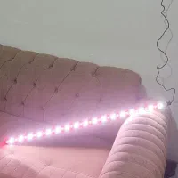 اکواریم شرکتی|ماهی|قم, امامزاده ابراهیم|دیوار