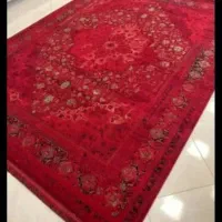 خانه ای زیبا با فرش های لطیف و با دوام|فرش|برازجان, |دیوار