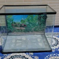 آکواریوم با وسایل