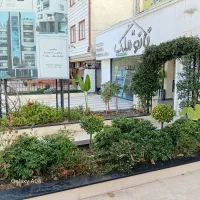 استخدام منشی(مدیر داخلی) با حقوق ثابت|استخدام اداری و مدیریت|چالوس, |دیوار