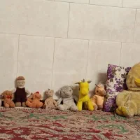 9 عدد عروسک خوشگل