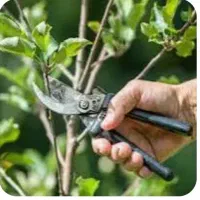 انواع کارهای باغبانی...