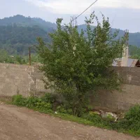 زمین با ویوی ابدی با سازه ۱۶۰ متری تا ستون طبقه۱|فروش زمین و ملک کلنگی|ماکلوان, |دیوار